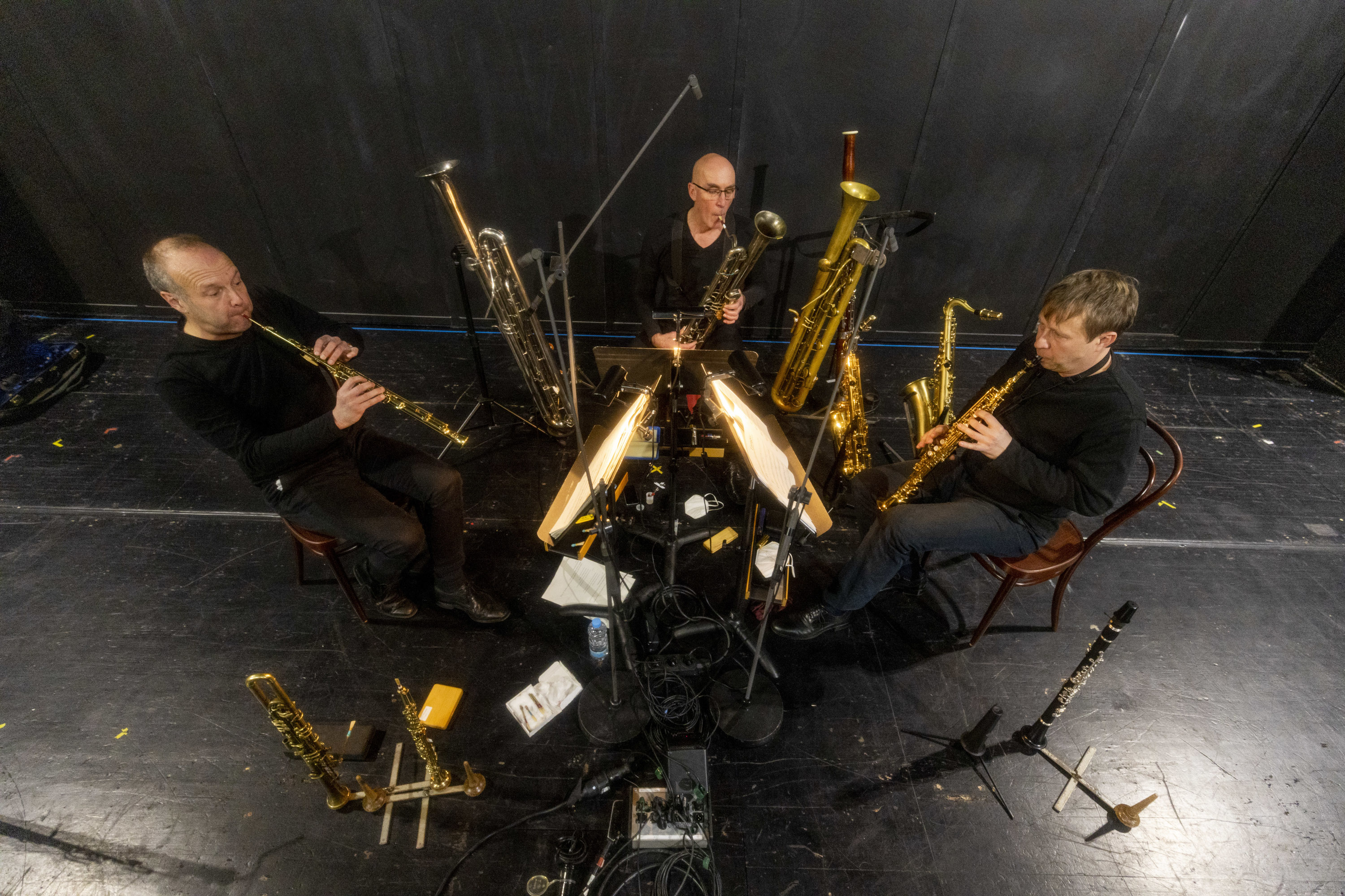 Lezard small Lezard small